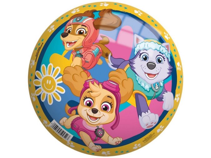 mic detsky paw patrol 23 cm john