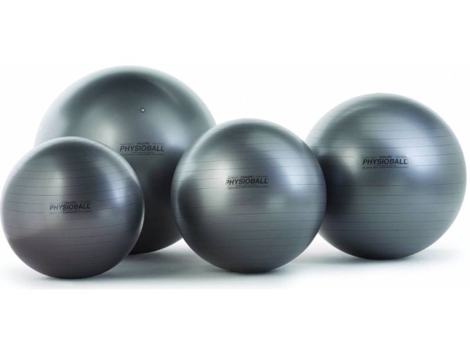 7396 2 physioball maxafe 95 cm