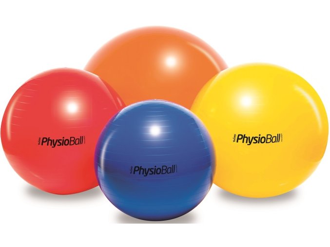 physioball standard ledragomma 1