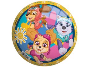 mic detsky paw patrol 23 cm john