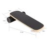 balancni prkno s valcem sway board 2