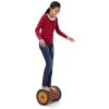 gonge roller 2267 balancni medvedi valec bez pisku 2