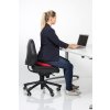 Dynair Ballkissen Senso Home Office 1