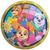 mic detsky paw patrol 23 cm john