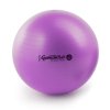 gymnasticky mic maxafe 75cm gymnastikball ledragomma tonkey fialova