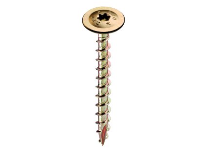 Vrut SUPERTORX Tanierová hlava