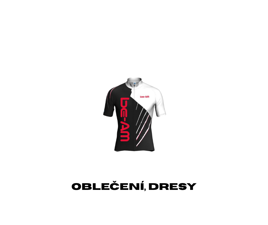 Oblečení