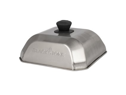 5555 MediumSquareBastingDome OnWhite