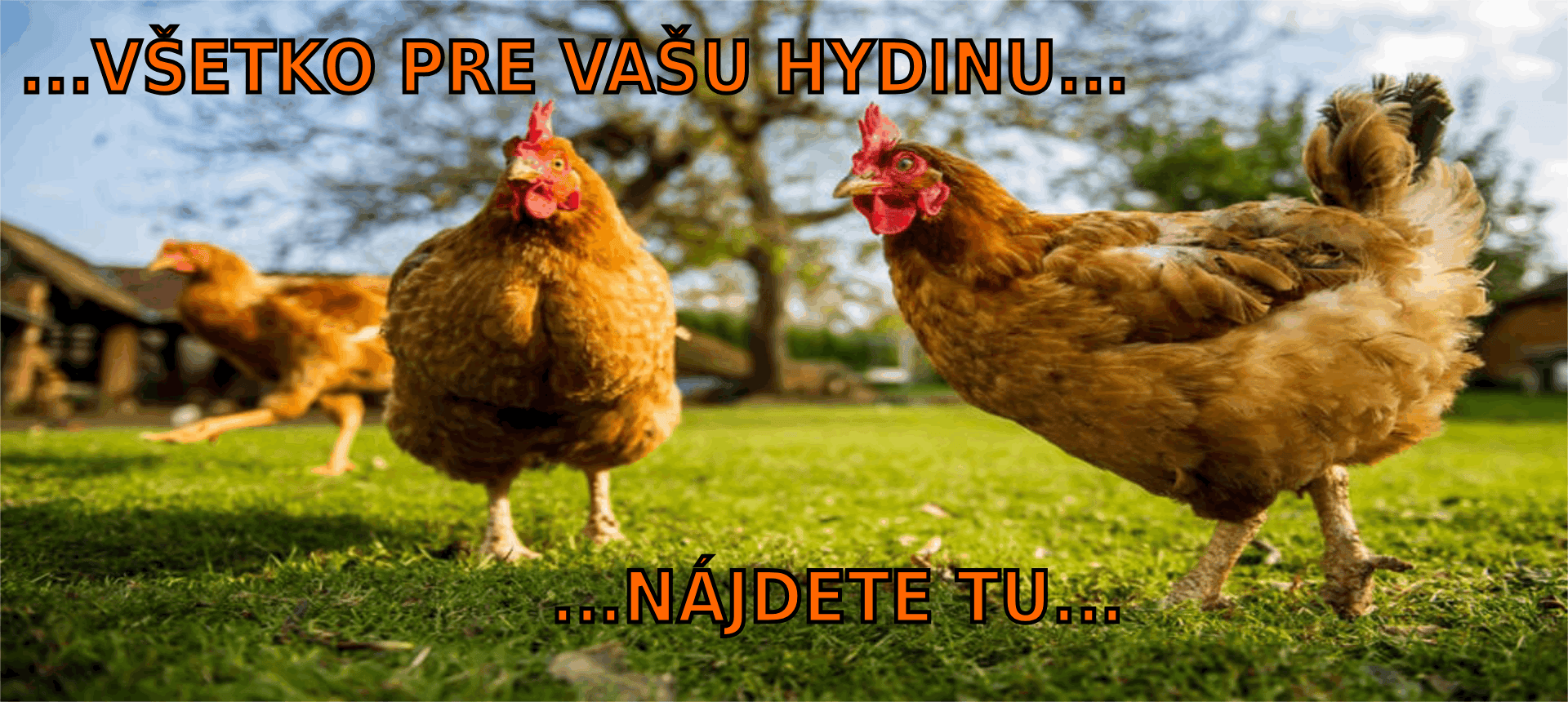 Všetko pre vašu hydinu | be-ma.sk