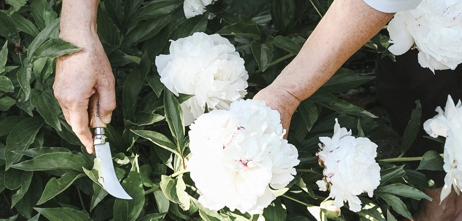 Opinel vám pomůže se zahradou na jaře