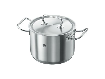Hrnec Zwilling Twin Classic s poklicí, 4l/20 cm