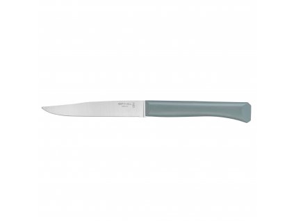 Opinel Bon Appetit + steakový nůž s polymerovou rukojetí 11 cm, zelená, 002195