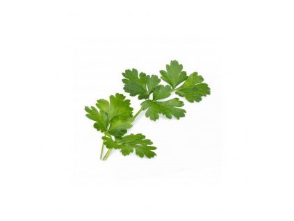 Lingot s BIO semeny petržele pro chytré květináče Véritable