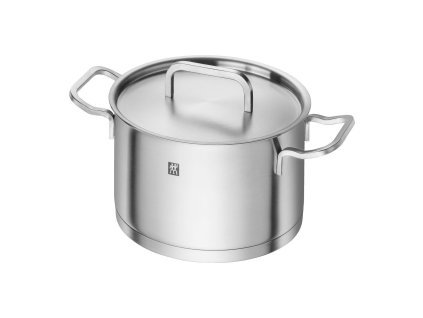 Zwilling Moment hrnec s poklicí 20 cm/3,5 l, 66243-200
