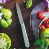 Opinel Les Essentiels N°113 vroubkovaný nůž na krájení 10 cm, sage, 003121