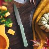 Opinel Les Essentiels N°112 nůž na krájení 10 cm, sage, 003117