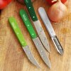 Opinel Les Essentiels N°114 nůž na zeleninu 7 cm, green apple, 001925
