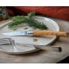 Opinel Table Chic sada steakových nožů, 4 ks, olivové dřevo, 002481