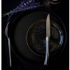 Opinel Table Chic sada steakových nožů, 4 ks, finská bříza, 002483