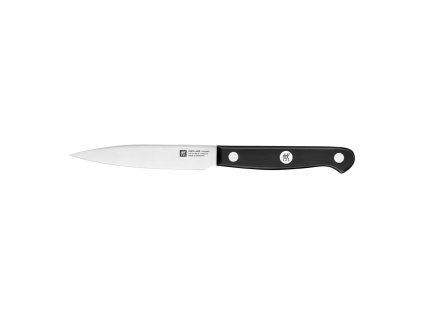 Špíz Zwilling Gourmet 10 cm, 36110-101