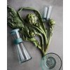 Rosendahl Grand Cru Recycled poháre na vodu 220 ml, clear green, 4 ks, 25377