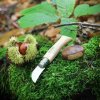 Opinel Nomad N°07 Nôž na gaštany a cesnak 4 cm, 002360