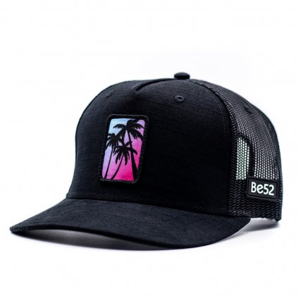 229 3 (1) palm snapback