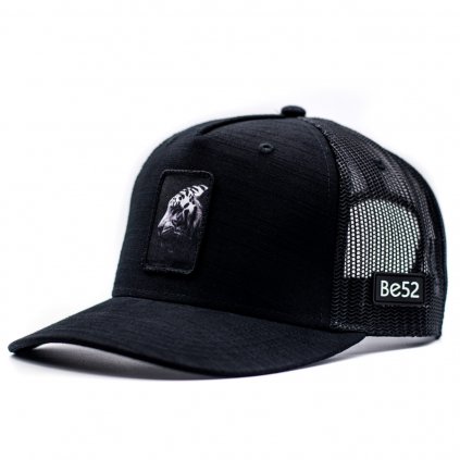 236 3 (1) tiger snapback