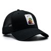 239 3 (3) Senna cap premium black
