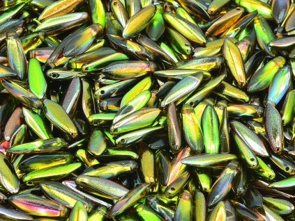 11169014 5x16 mm 00030 95400