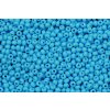 Seed beads 11/0 63020