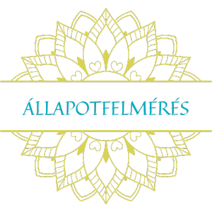 allapotfelmeres