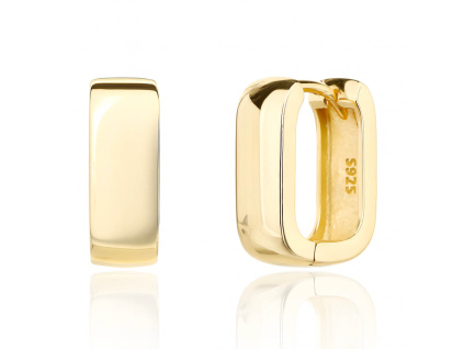 13735 Stribrne nausnice zlacená 14K zlatem francouzsky patent zapinani sperky BEALIO