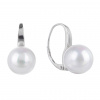 3756 3756 stribrne nausnice ricni perla