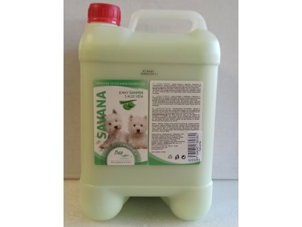 Savana5000W