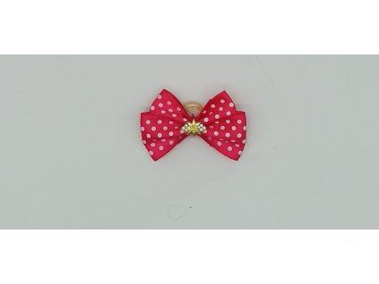 Mašle č.010 profi SHOW 5 cm