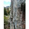 Hiking Bear watching Tour