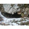 Hiking Bear watching Tour