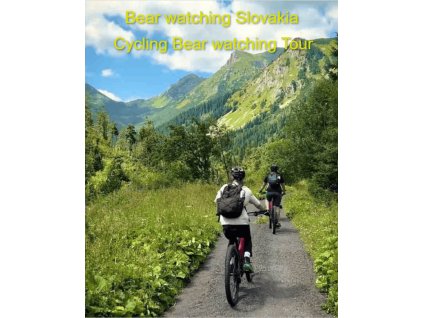 cycling bear watching tour