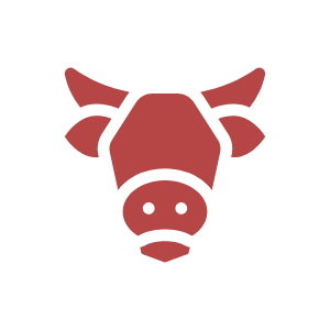 Lokální flákota