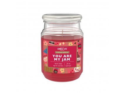 duftkerze you are my jam 510g