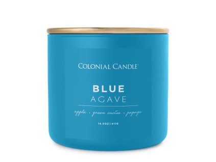 duftkerze blue agave 411g