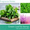 duftkerze green leaf hemp 411g~4