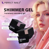 Perfect Nails Shimmer Gel