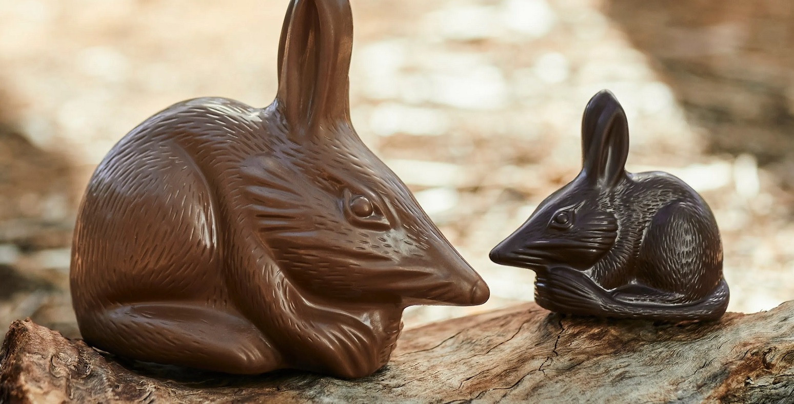 Velikonoční čokoládový bilby jako australská náhrada zajíčka symbolizující ochranu přírody