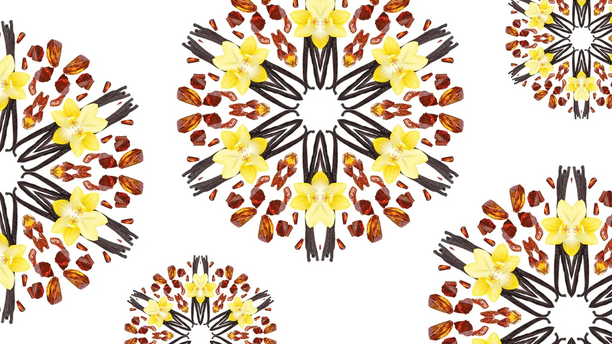 Maison Berger vůně Amber Powder vanilka ambra koření orientální parfém