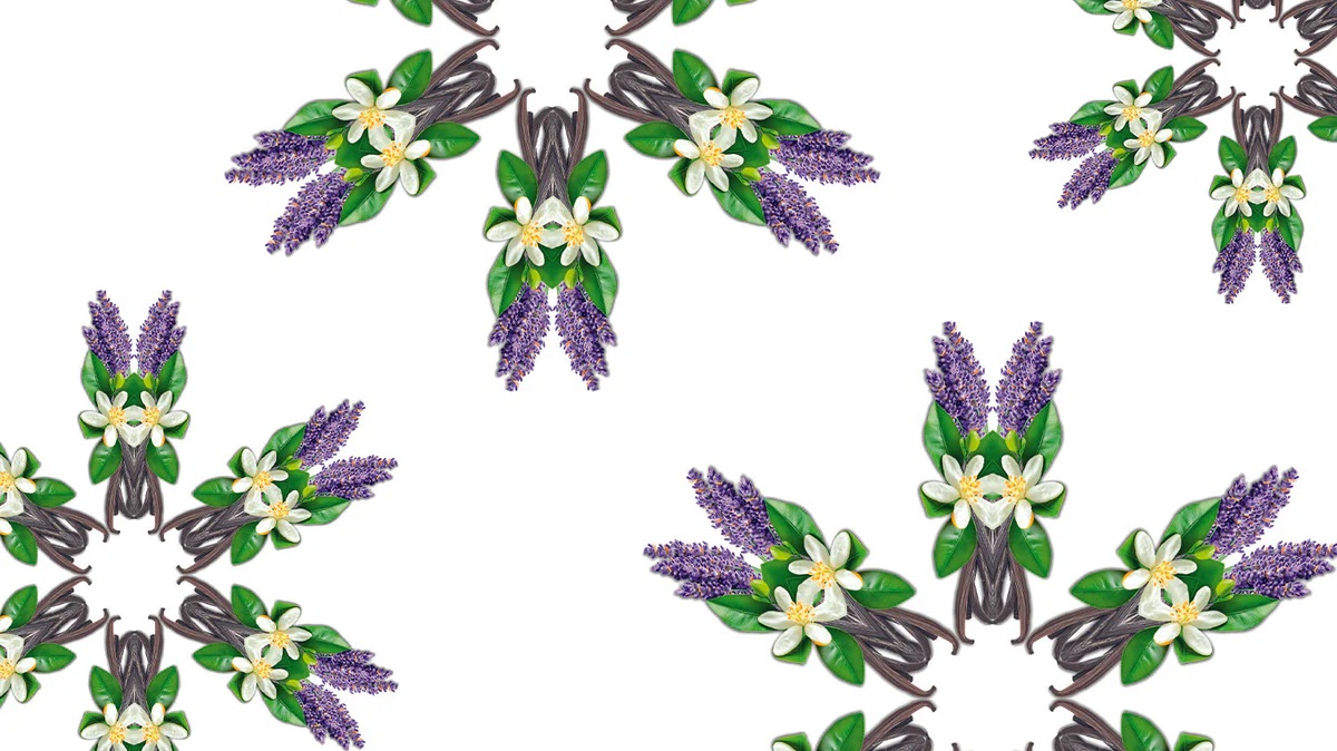 Květinová vůně Light Floral Maison Berger levandule jasmín vanilka