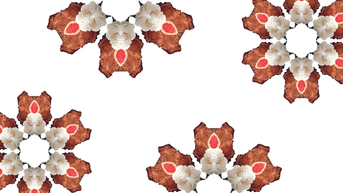 Sweet Grapefruit vůně Maison Berger svěží citrusová parfemace s květinami a dřevem