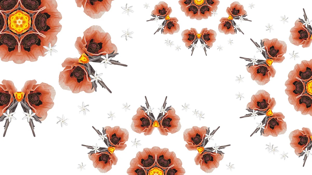 Maison Berger vůně Velvet of Orient květiny kávovníku opiový květ citrusy vanilka orientální parfém