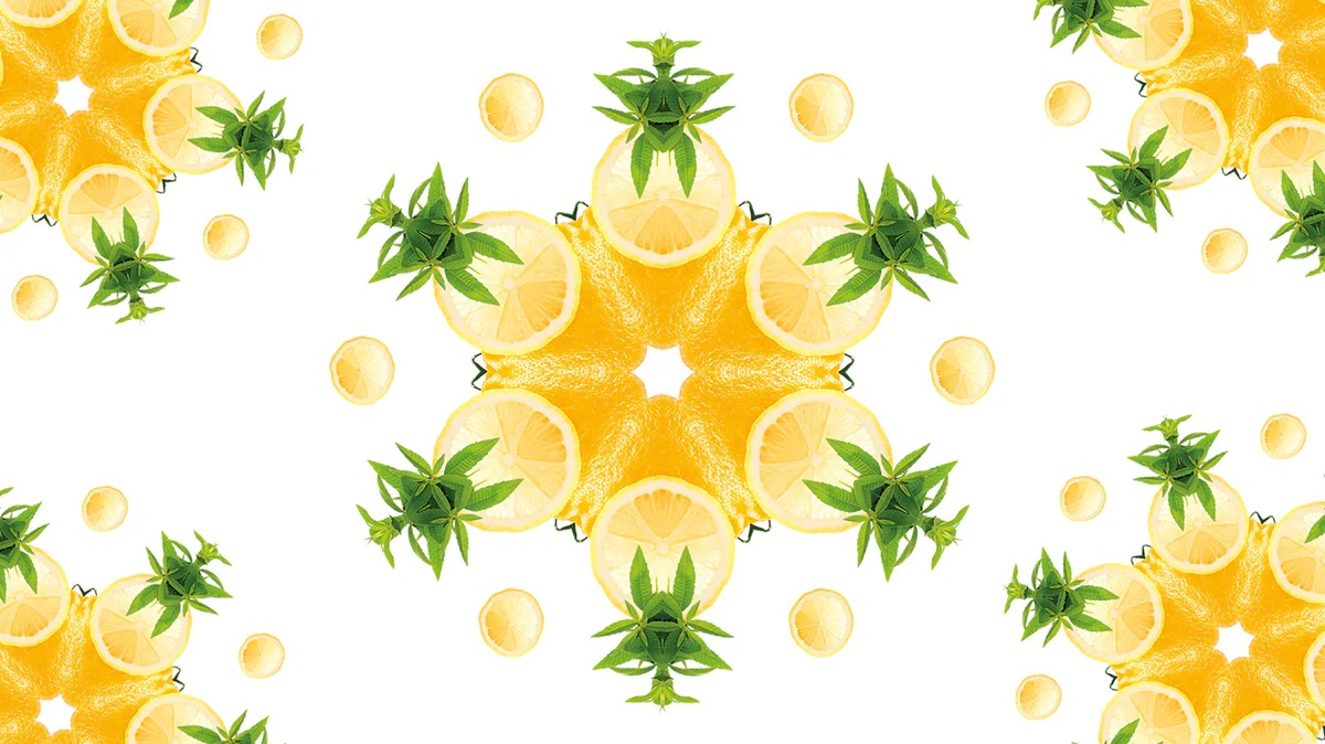 Grafický motiv Zest of Verbena – mandalová kompozice z plátků limetky, citrusů a zelených listů verbeny s akcenty růžového pepře